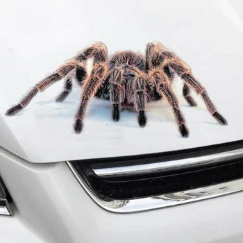 3D Auto Nálepky Zvieratá Spider Gecko Scorpions Vinyl Obtlačok na Mercedes Benz A-Class X-Trieda S65 Nissan Denki 350Z Zaroot Marca Obrázok 2