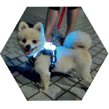 cc Veľkoobchod reflexné ťažké cimon povinnosť psa reťazca vedie lano kovové pracky Multicolor nylon pet led postroj psa na vodítku