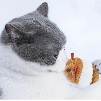 Plyšové Cat Hračka Tvar Myši Pet Hračky pre Kitty Skus Odolný Zábavné Mačiatko Príslušenstvo Vytiahnite Reťazec Zvuk Mačka Produkty Dropshipping Obrázok 2