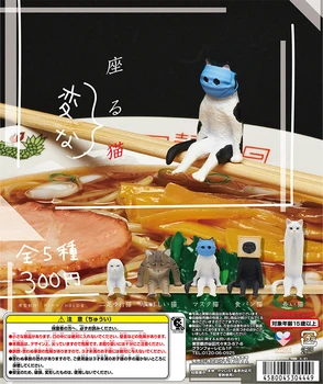 Japonsko Kitan Gashapon Kapsule Hračka Sedí Divný Mačka Model Bábkové Obrázok Periférne Bábika