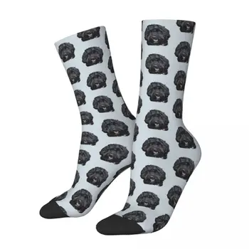 Zimné Teplej Módy Unisex Čierna Roztomilý Pudel Ponožky Non-slip Basketbal Ponožky